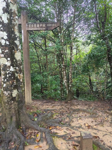 微笑山線：【五分山系】望古瀑布段2959899