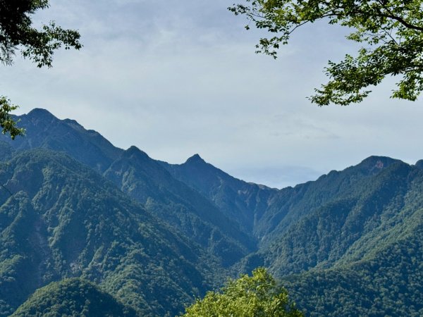 新中橫看玉山 首訪鹿林神木2836966