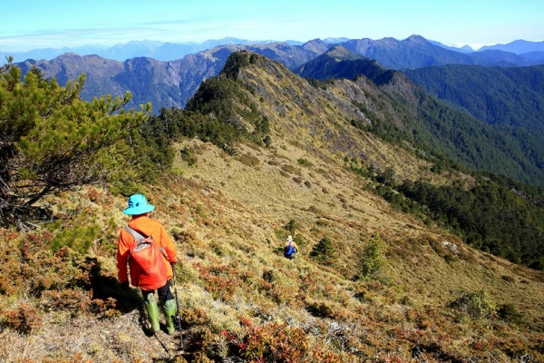 卓社大山 18連峰16227