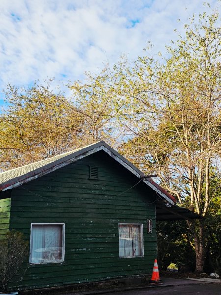 大雪山森林遊樂區森林浴步道2966004