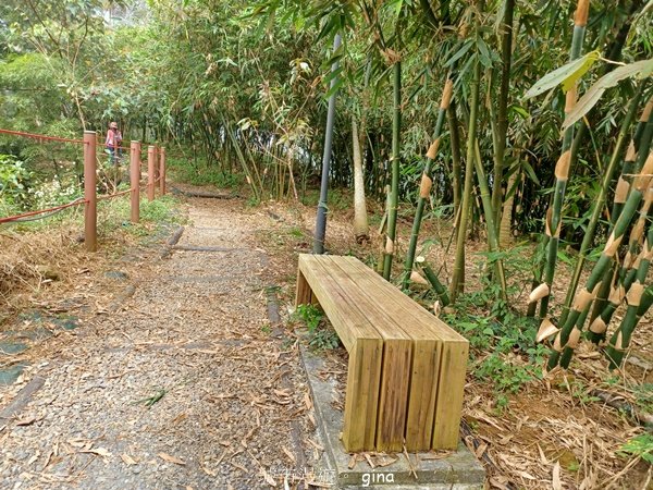 【嘉義竹崎】說好的稜線風景呢。阿拔泉山稜線步道連走獨立山O繞2684136