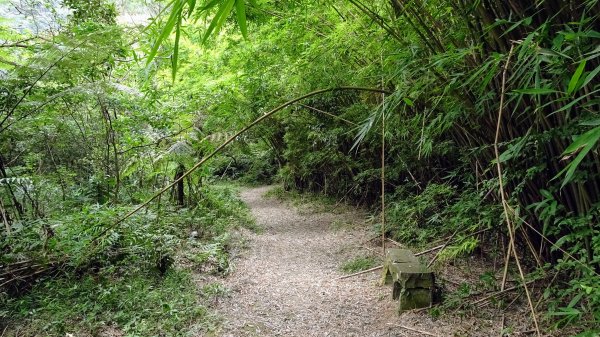 八煙,擎天崗,冷水坑2217985