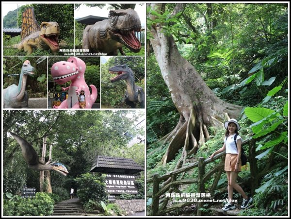 三峽大板根溫泉森林度假村｜三環原始森林步道｜恐龍探索森林