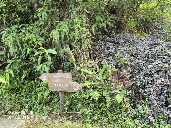 2025-08-10臺北大縱走第六段：中華科技大學至捷運麟光站2856573