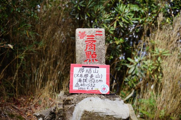 新竹關西鎮 水田林道之貴妃&那結山連走1539734