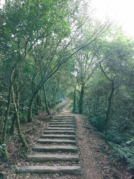 泰安瀑布-姜子寮山步道821760