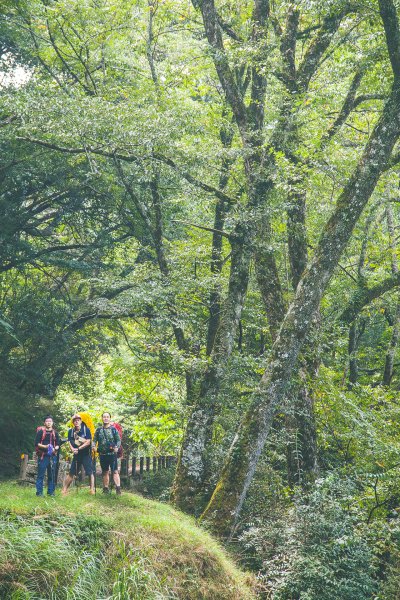 20191004~06-[新竹] 500塊上的大霸尖山1817048