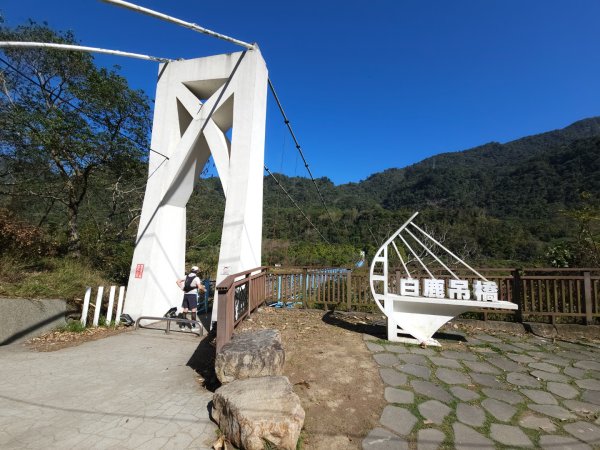 白毛山-谷關七雄(老六)3015240