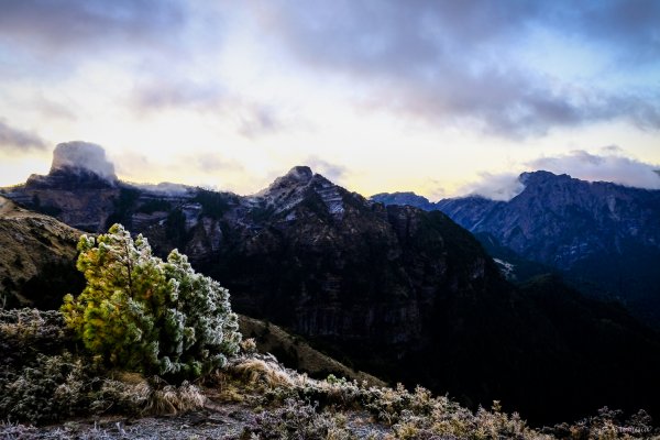 [冬訪大霸聖山岳參行]-榮耀桂冠B'bu' Papak聖稜精選輯2974740