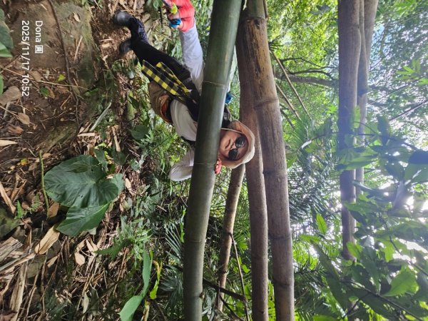 20251117新竹內灣三山四峰(內灣山.麥樹仁山南峰.麥樹仁山.白石湖山)2939897