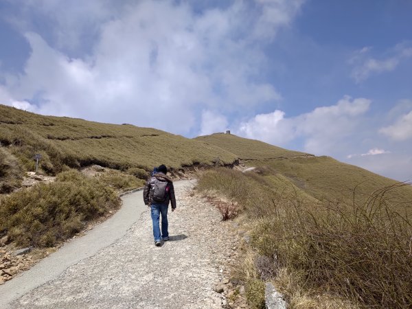 合歡山主峰1319143