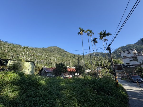 20251122獨立山國家步道+觀音石山+阿拔泉山2944222