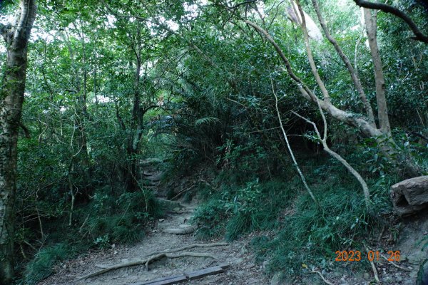 屏東 獅子鄉 里龍山(里隆山、里瀧山、鯉龍山)、下里龍山2018512