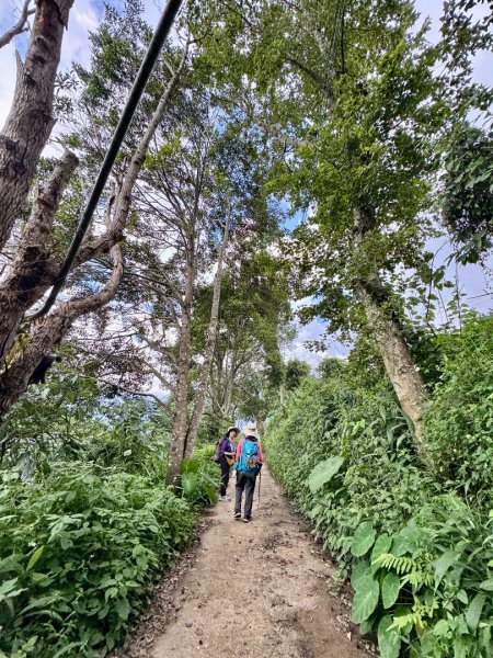 瞭望台-瓊山-望美山-獵人古道2886887