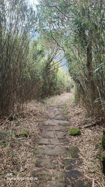 20024-1231臺北大縱走第二段：大屯主西南二子坪O型2680135
