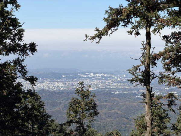 鳴鳳山-錫隘古道大O繞-202601252991412