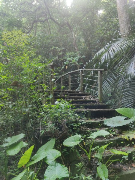 香路古道(巡護中路徑不明顯)暫時不要去2529796