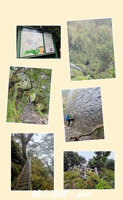 【南投信義】排雲山莊 x#15百岳_玉山西峰3111639