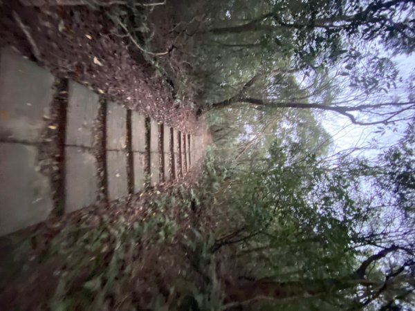 苗栗三義-三員縱走2616432