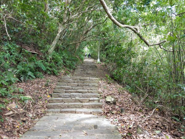 晴空萬里的硬漢嶺步道(觀音山)、凌雲寺往返＋原始土石山徑1489140