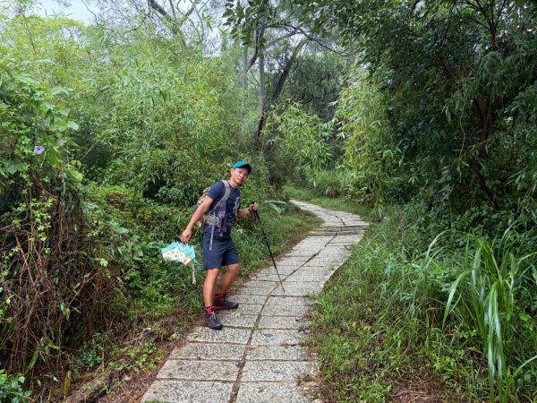 鳳崎落日步道【完登小百岳前的小暖身】2930760