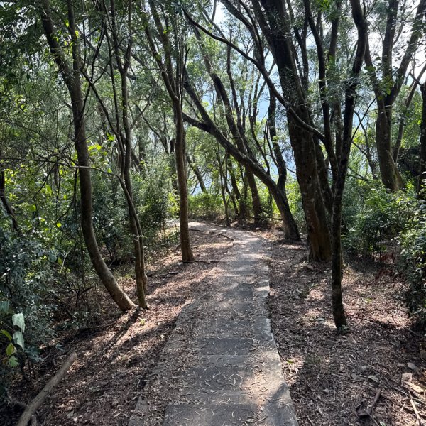 20251213 高雄-茂林生態公園瑪雅亭2969115