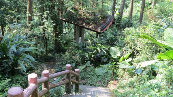 《苗栗》古道柳杉｜雲洞宮鳴鳳古道南長城步道登三湖山202505022777121