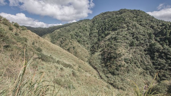 從新北走到宜蘭-坪溪古道 & 石空古道1839489
