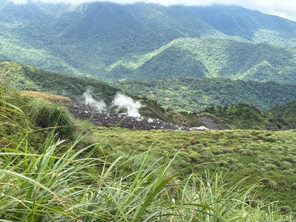 上磺溪橋走魚路古道/金包里城門/擎天崗/冷水坑2872125