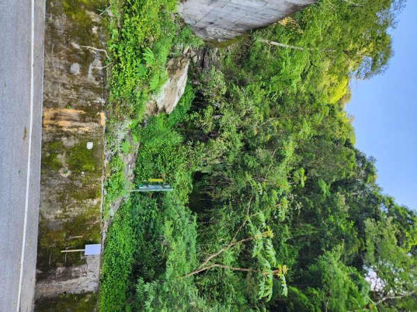 【百岳】雲海的浪漫，羊頭山單攻3045313