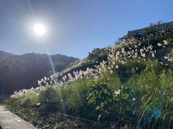 2025微笑山線大縱走尋寶集章任務-Ep.04【天上山系】望月亭桐花段｜石門內尖山東峰 ×石門內尖山2979073