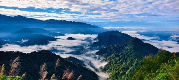 #馬那邦山 #琉璃光 #日出 #雲海 #山羌 #楓葉 10/25 & 11/12924609