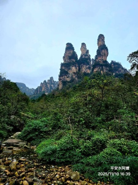 2025/11/8-10張家界園區2939349