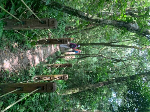 獅仔頭山/小百岳1453980