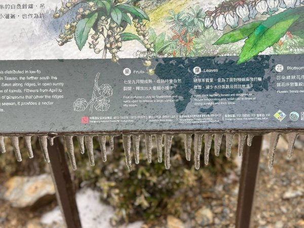 20250319～20嘉明湖國家步道🥶🥶🥶殘念😭2739767