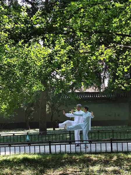 北京北海公園2829671