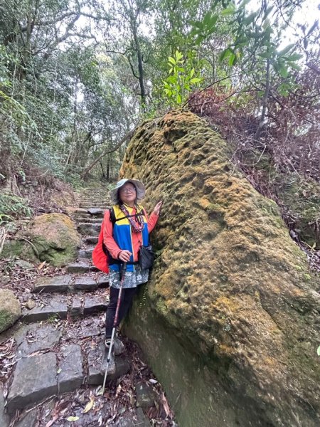 台北縱走第四段訪雙溪山 梅花山與西峰南峰西南峰 碧山3012822