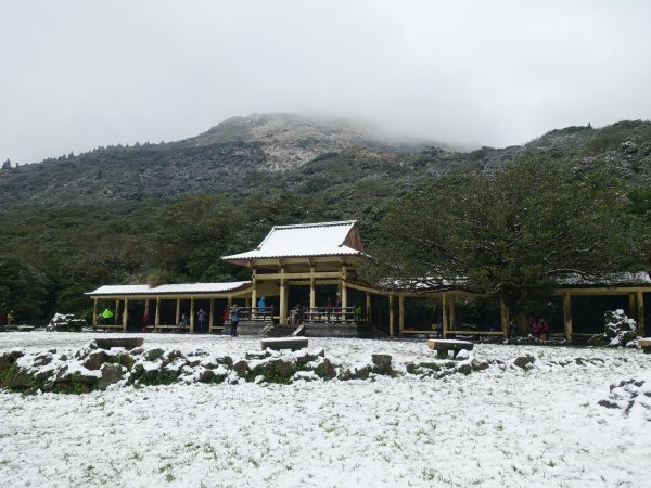 獨自勇敢。陽明山追雪成功1233787