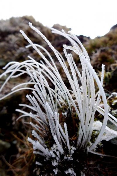 冰霜嘉明湖876716