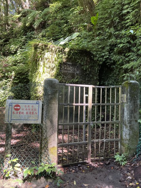 2025山之精靈2910550