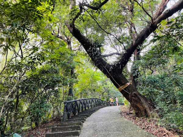 1110906。1001。1105景美山｜仙跡岩步道1862324