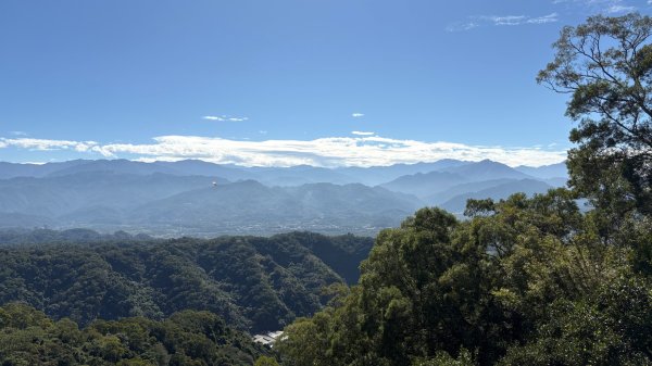 2025-11-30 飛鳳山 走來回2952646