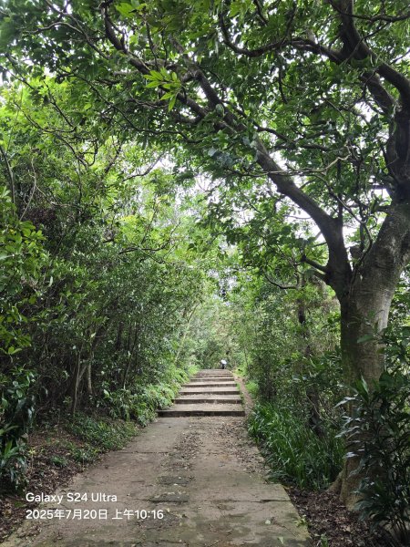 2025-07-20臺北大縱走第五段：捷運劍潭站至碧山巖(劍潭支線)2842566