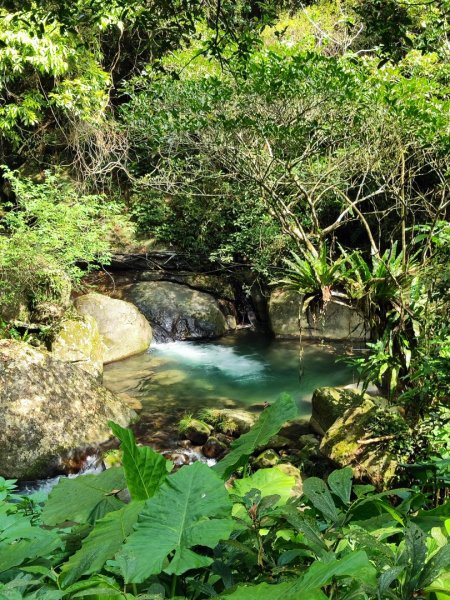 馬胎南坪古道2764751