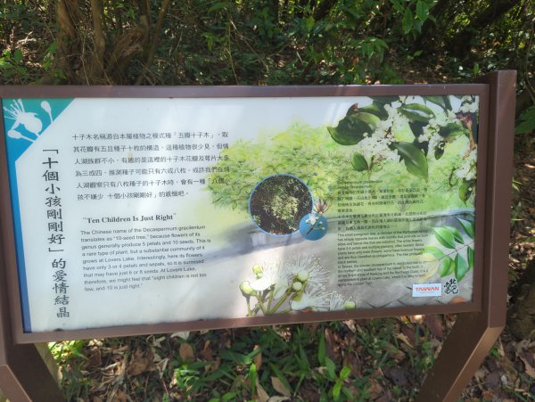 2025.09.13－情人湖步道&大武崙山2885819