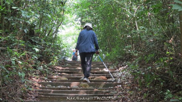 《苗栗》桐花茶園｜四月雪小徑登慈濟山三義山202504272771212