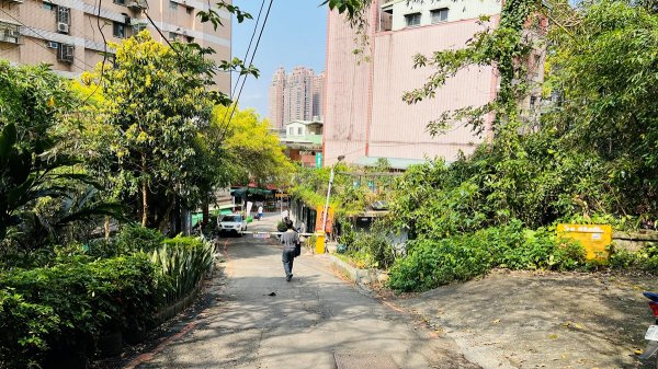 新店和美山|碧潭風景區|水岸步道悠閒散步野餐|親子新手輕鬆登頂1659710