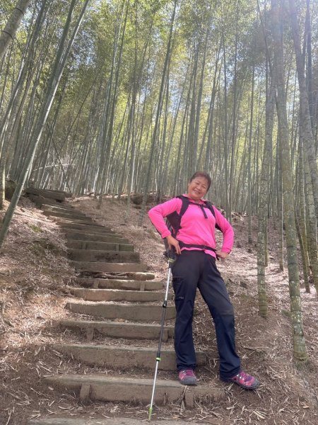 嘉南雲峰、九穹神木3014482