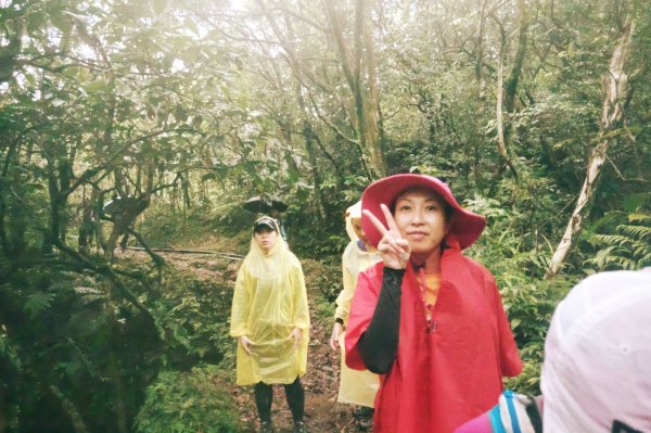 淡蘭古道中路O型988516