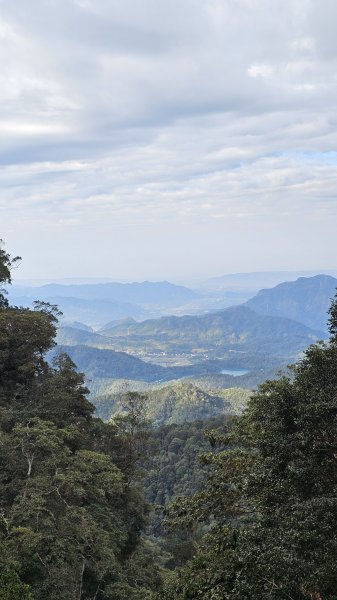 【中級山經典：水社大山、水社主峰】🥾4小時53分的征途，汗水與意志的考驗。2982560